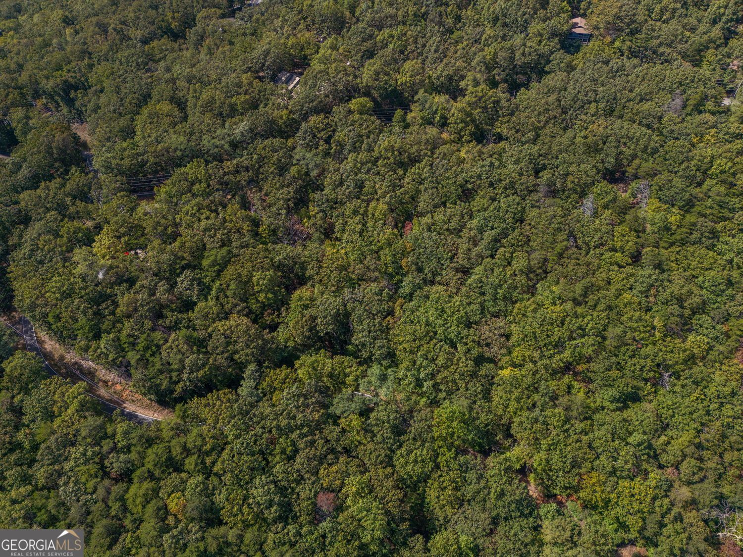 0 Little Hendricks Mountain RD