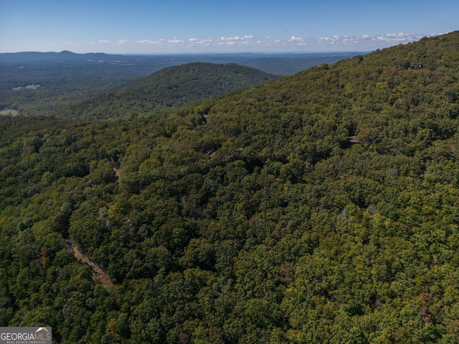 0 Little Hendricks Mountain RD