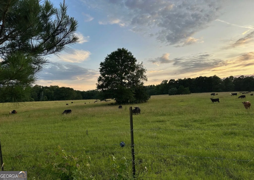 Photo of 4091 Hollonville Rd, Williamson, GA 30292 (MLS # 10815809)