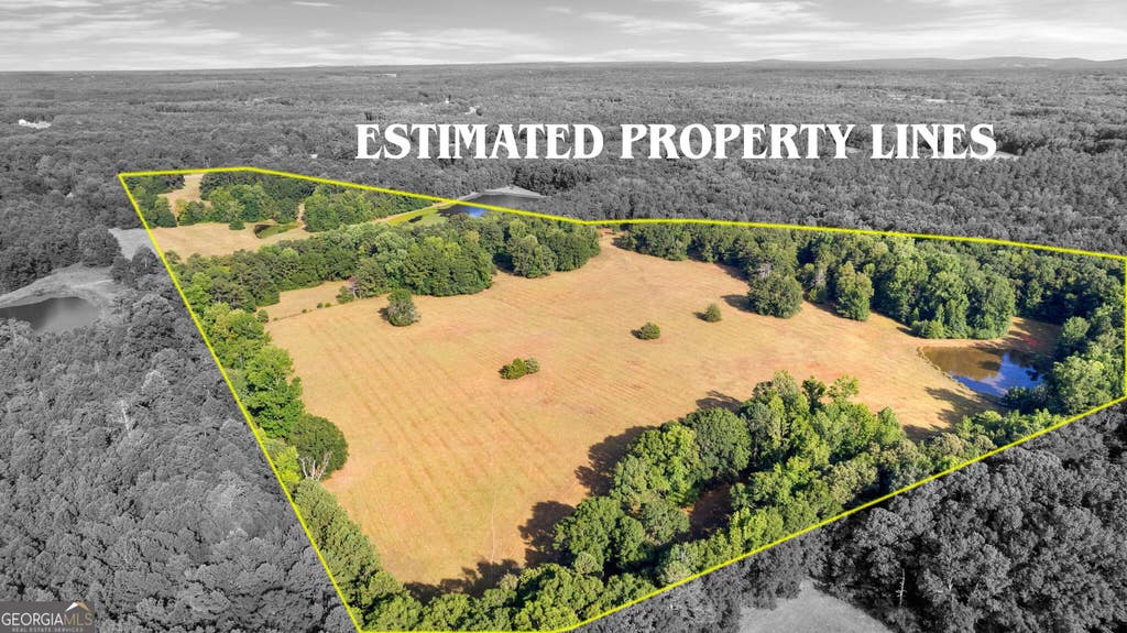 Photo of 4091 Hollonville Rd, Williamson, GA 30292 (MLS # 10815809)