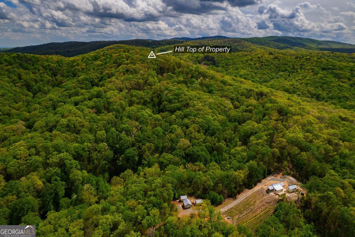 43.91 Old Burnt Mountain RD