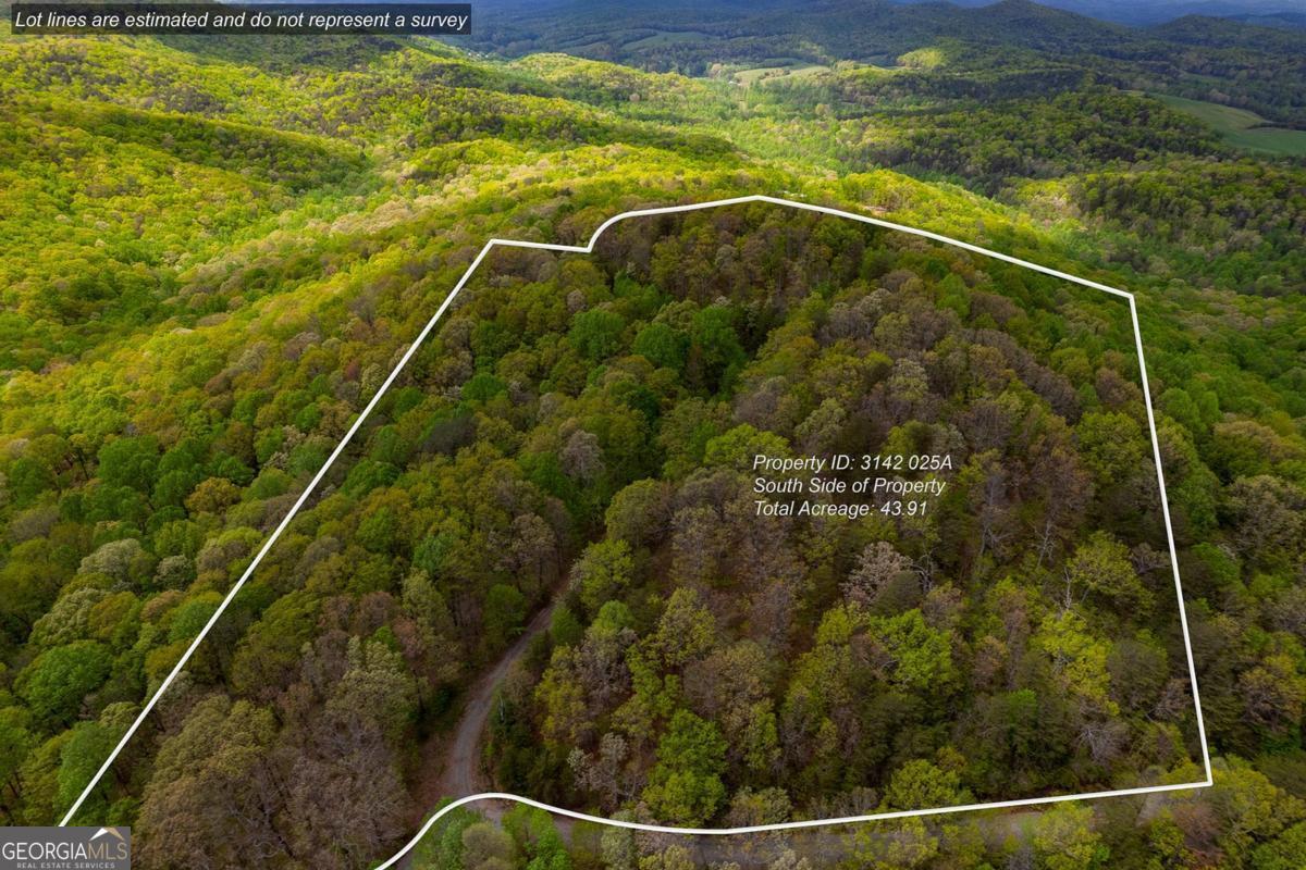 Developer Must See! Or just pick your favorite mountain range and engulf your daily life in nature. Exception lying land with views available from most all of the property. 43.91 acres with underground power and gravel roads through out. Offering long range mountain views with multiple building sites available. Would make a lovely subdivision that only North GA can offer. In close proximity to the local Apple Houses, wineries, hiking, Reece Cidar House and more. Minor restrictions in place.