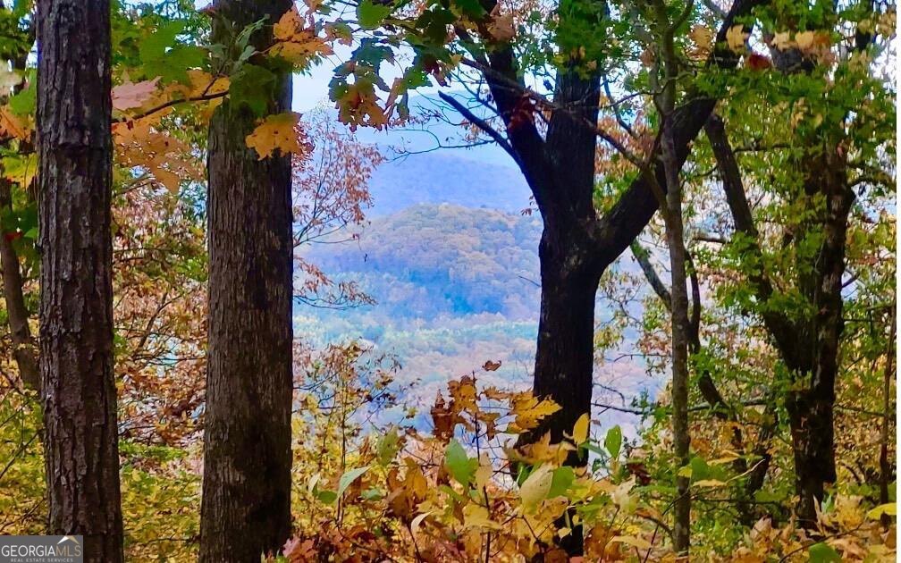 43.91 Old Burnt Mountain RD