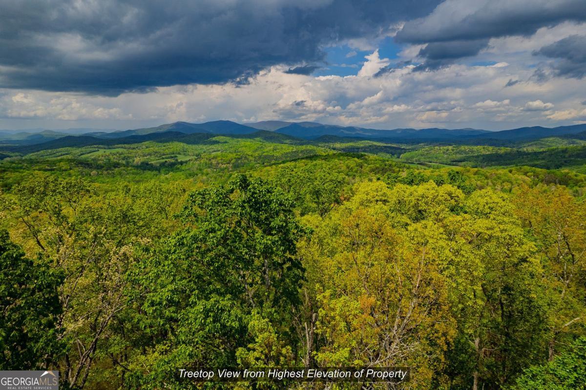 43.91 Old Burnt Mountain RD