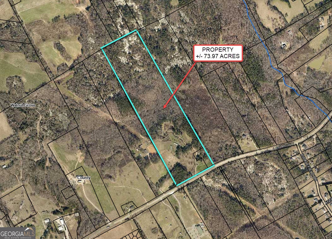 3905 Georgia Highway 138