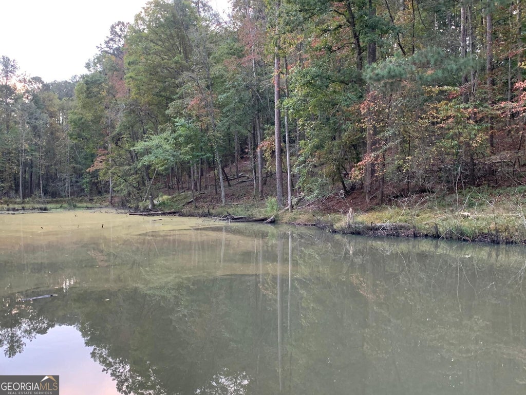 Photo of 00 Petersburg Road, South Fulton, GA 30213 (MLS # 10876091)