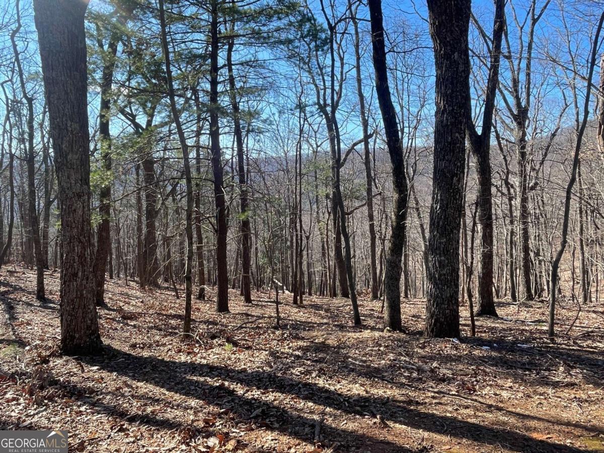 Large (2.81 acres) easy build lot with a beautiful mountain view. This lot is on the corner of Bellflower Dr and Petit Ridge Drive. Located just 7 minutes from the north gate, provides easy access to your home and all the amenities in Big Canoe. The lot has a successful Level 3 Soil Test (Perc Test) and is ready to build on. Bring your builder and your plans and see what this beautiful piece of property will provide as your new home.
