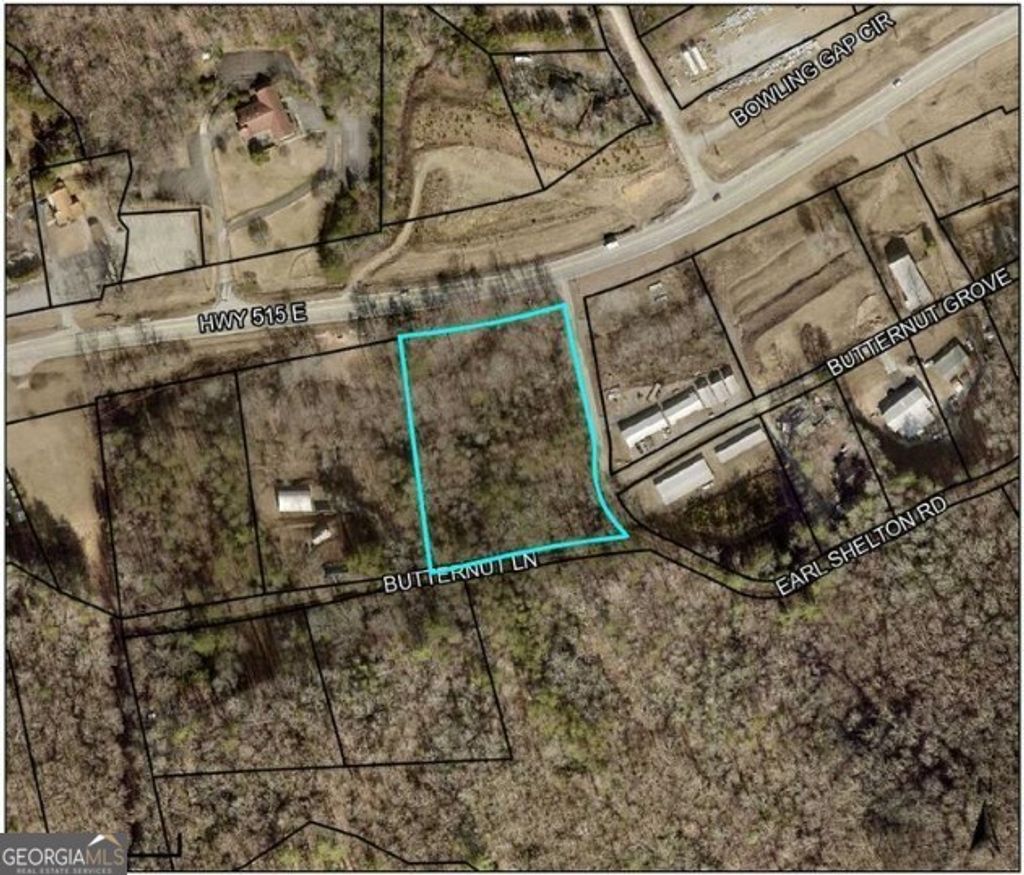 Photo of 0 Butternut Lane #36 &amp; 37, Blairsville, GA 30512 (MLS # 10659123)