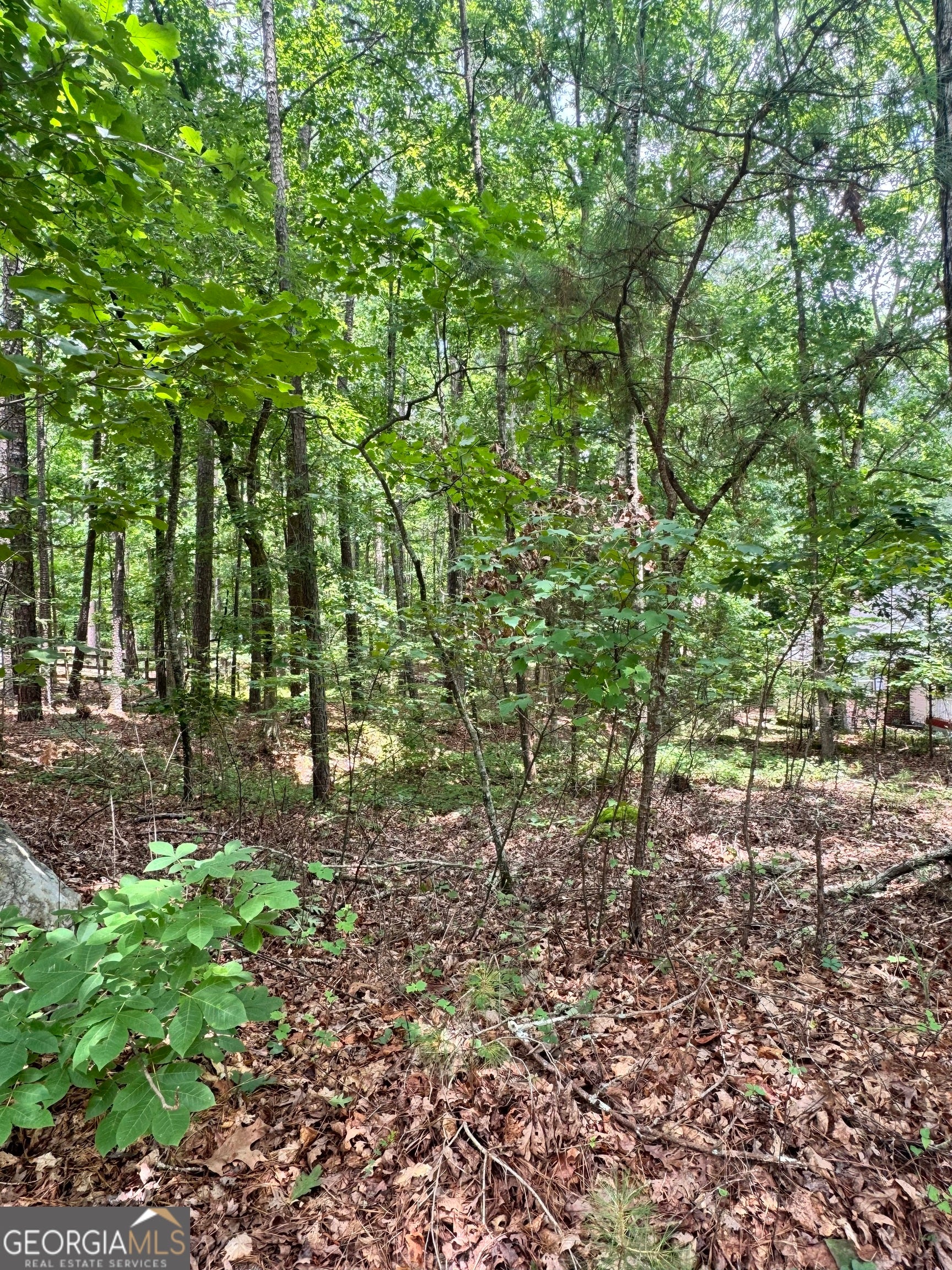 6031 Belle Meade CT