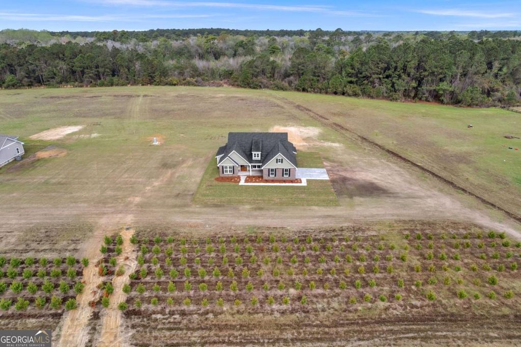 Photo of 795 S.T. Morris Road NE, Ludowici, GA 31316 (MLS # 10712486)