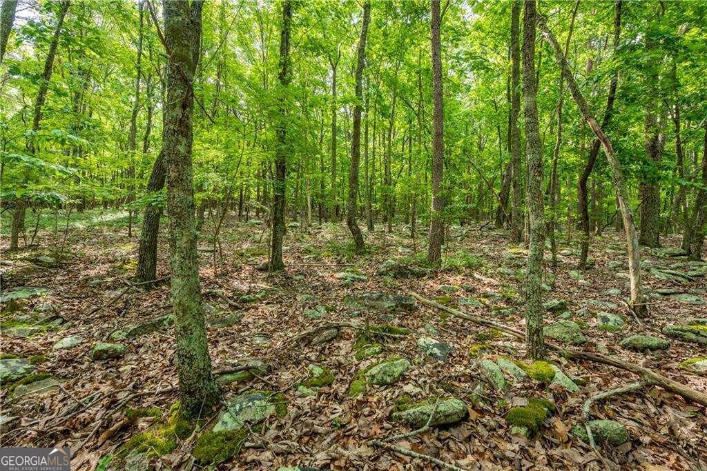 Welcome to The Preserve at Sharp Mountain - a premier gated community where natural beauty and privacy are preserved in every detail. Tucked within the rolling foothills of the North Georgia mountains, this 6.34-acre parcel offers an exceptional opportunity to build your dream home surrounded by tranquility and untouched wilderness. This gently sloping lot features a small, serene branch running along the left property line, enhancing the peaceful ambiance and creating a natural boundary. With excellent elevation, the property provides a perfect homesite that offers privacy, potential mountain views, and room for level yards, gardens, or outdoor living spaces. One of the most unique aspects of this property is the rare opportunity to expand your private estate: the land directly behind this lot consists of over 16 acres (located on Mystic Trail Lane), and combined, would give you more than 22 acres of uninterrupted nature-ideal for those seeking total seclusion, recreation space, or multigenerational living. Residents of The Preserve enjoy access to a variety of thoughtfully maintained nature parks scattered throughout the community, including scenic hiking trails, playgrounds, a covered pavilion, and a rustic stone fireplace for gathering with neighbors and friends. Wildlife is abundant, and community covenants ensure that the natural environment remains protected for years to come. Conveniently located just minutes from Highway 515, you're only a short drive to shopping, dining, medical facilities, and the charm of Jasper's downtown square. If you're looking for the perfect blend of luxury mountain living, privacy, and accessibility - this is it.