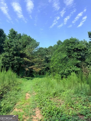 LOT 8 PETTIT ROAD, JASPER, GA 30143 - Image 8124b82afa97392abcce7a100b433298/524452182