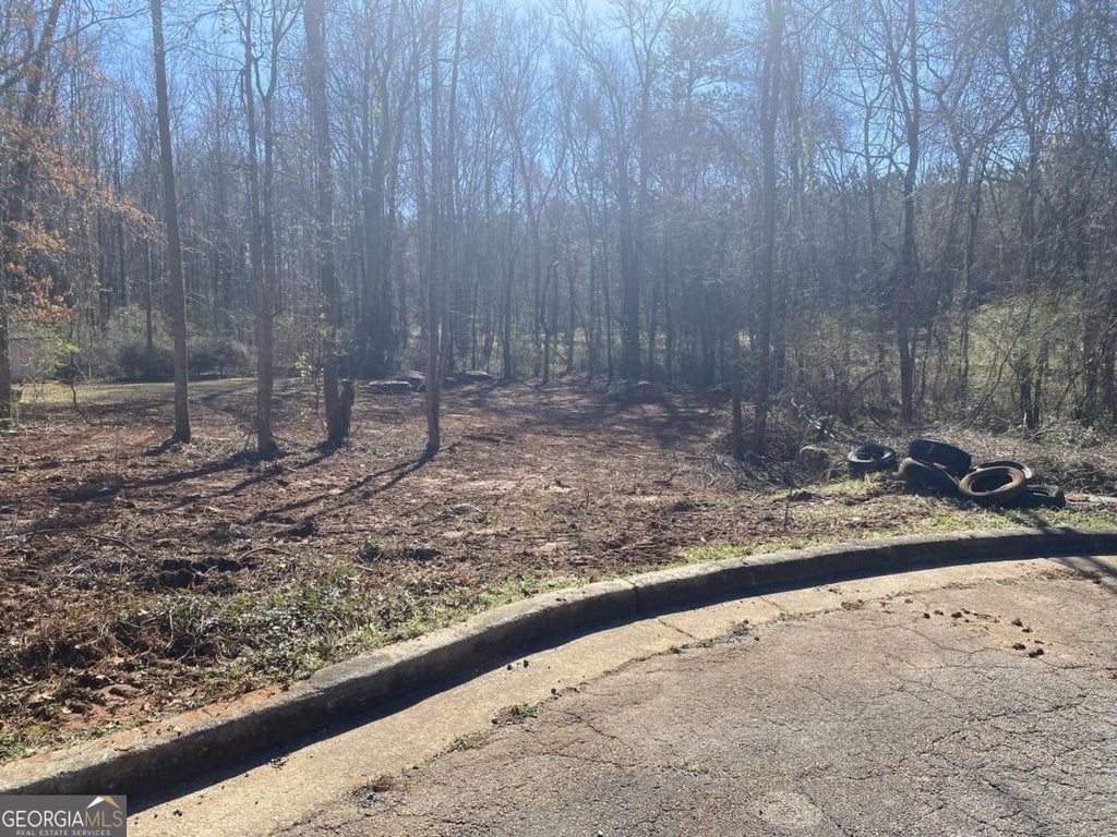 Photo of 0 Hannah Court #LOT 13, Barnesville, GA 30204 (MLS # 10791183)