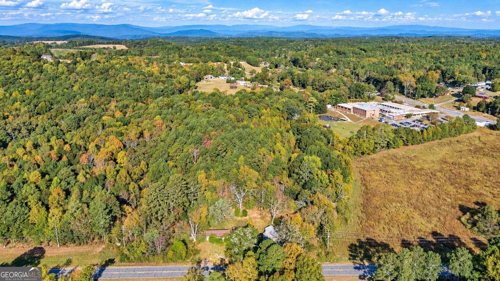 Photo of 6392 Highway 151, La Fayette, GA 30728 (MLS # 10866770)