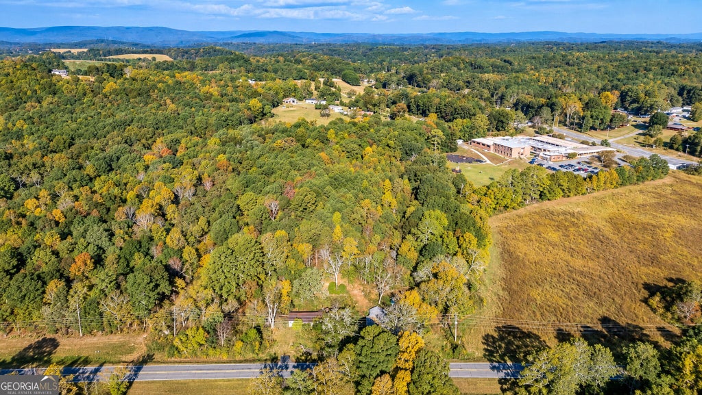 Photo of 6392 Highway 151, La Fayette, GA 30728 (MLS # 10866770)