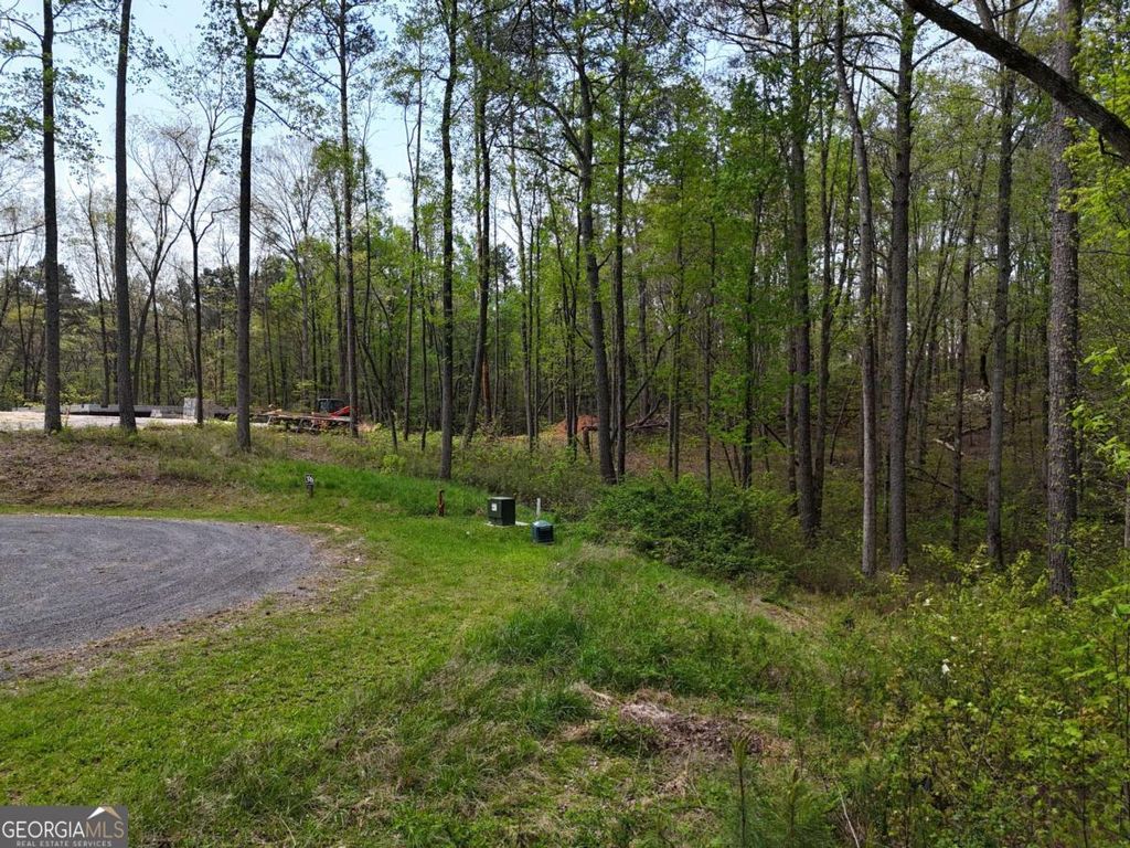Photo of 36 Hilton Drive, Ellijay, GA 30540 (MLS # 10756142)