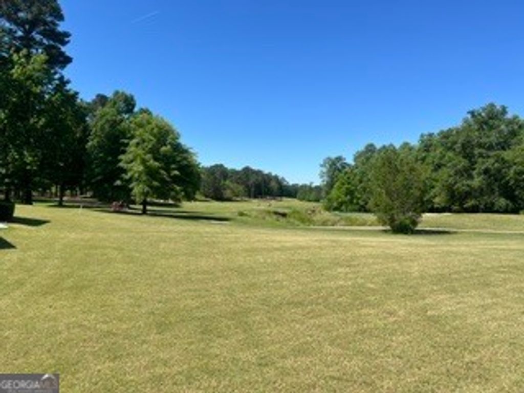 Photo of 156 Cottage Club Drive, Locust Grove, GA 30248 (MLS # 10766037)