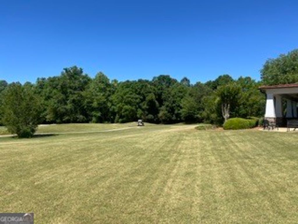 Photo of 156 Cottage Club Drive, Locust Grove, GA 30248 (MLS # 10766037)