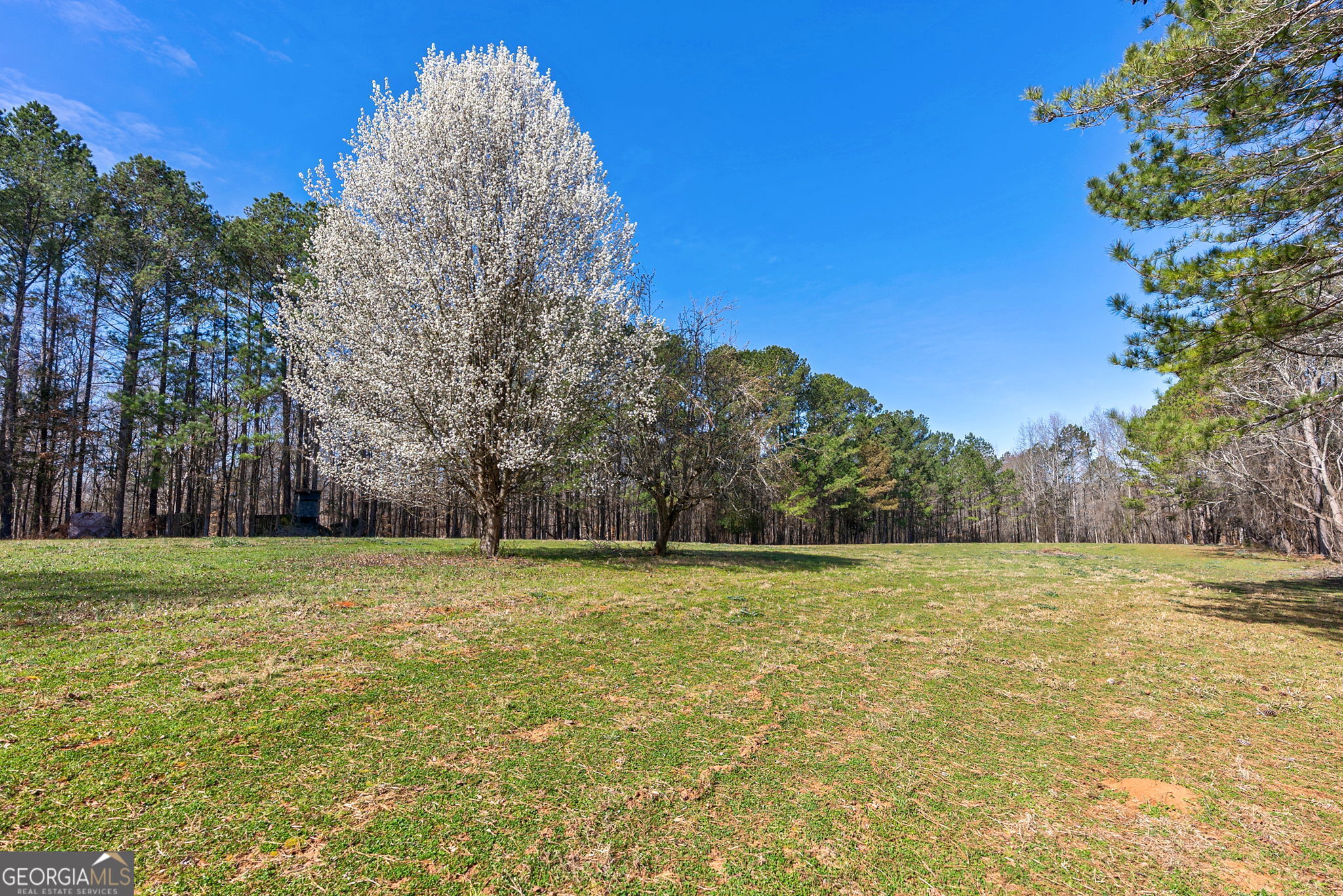 1181 OLD BARNETT SHOALS RD