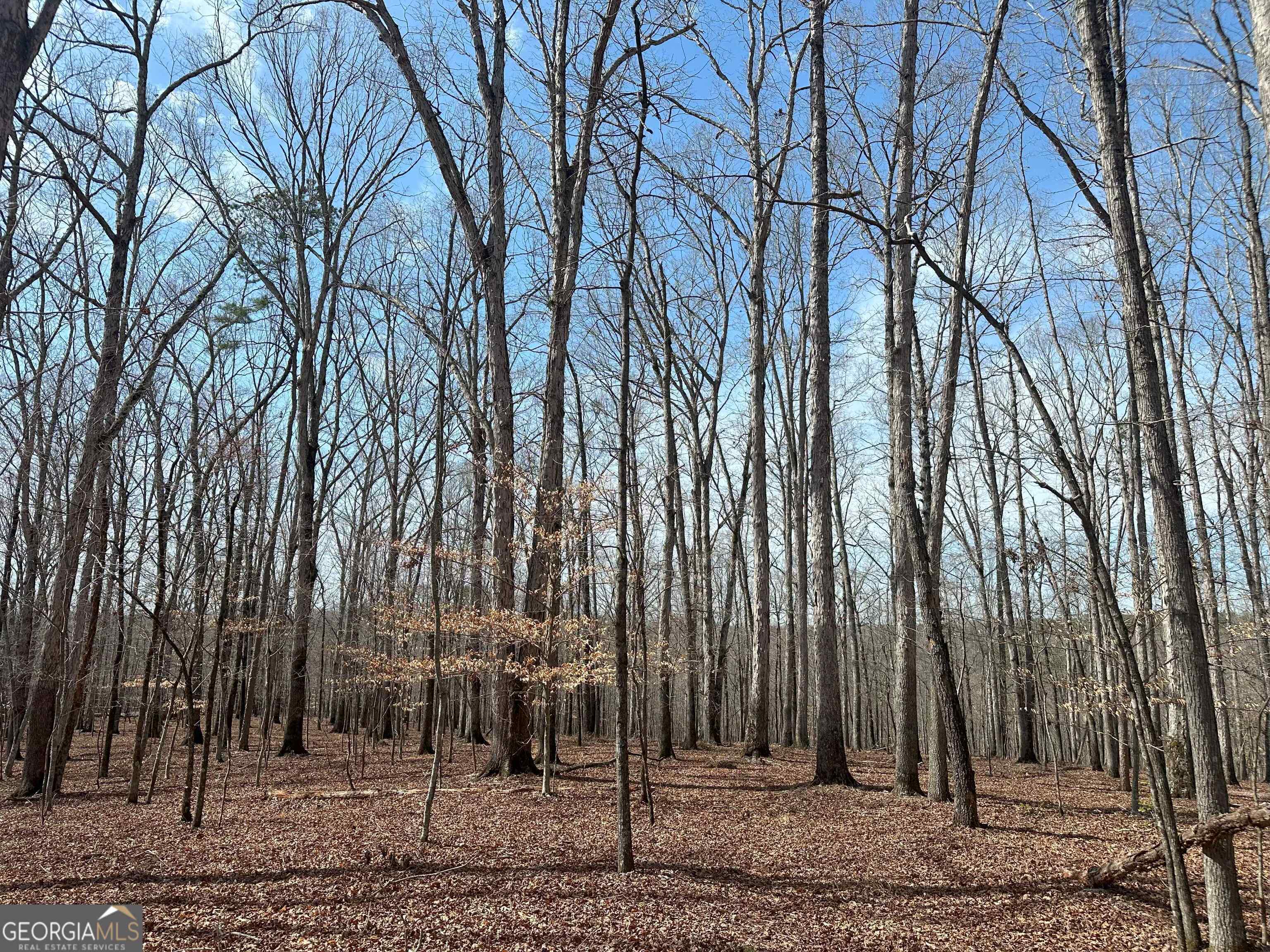 1181 OLD BARNETT SHOALS RD