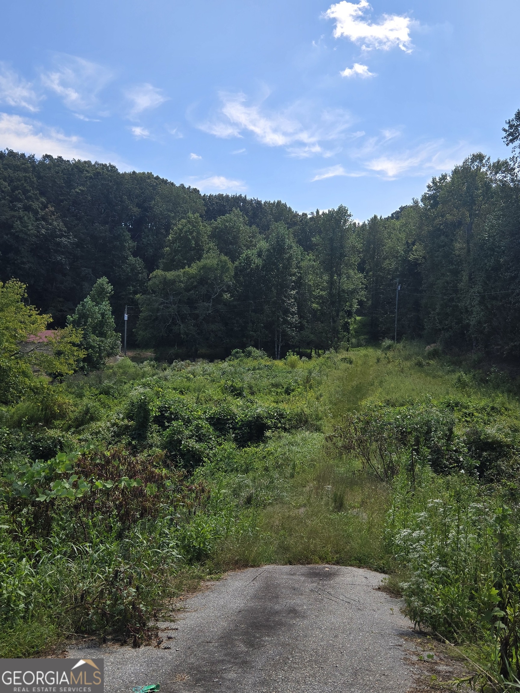 Fantastic opportunity to own over 7 acres on Hwy 115 as you enter Cleveland from the Habersham County side. The property offers 159 feet of road frontage with an established driveway/entrance already in place. A well and septic tank are located on site, and the land features a mix of cleared space and partially wooded areas. Two small creeks run through the property - one at the front and another near the middle. Recently rezoned to commercial, with the possibility of conversion back to residential, this versatile property is ready for your vision. A mobile home previously occupied the site.