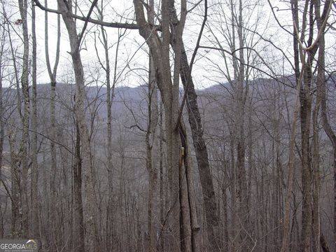 #16 Roaring Ridge Hiawassee GA 30546