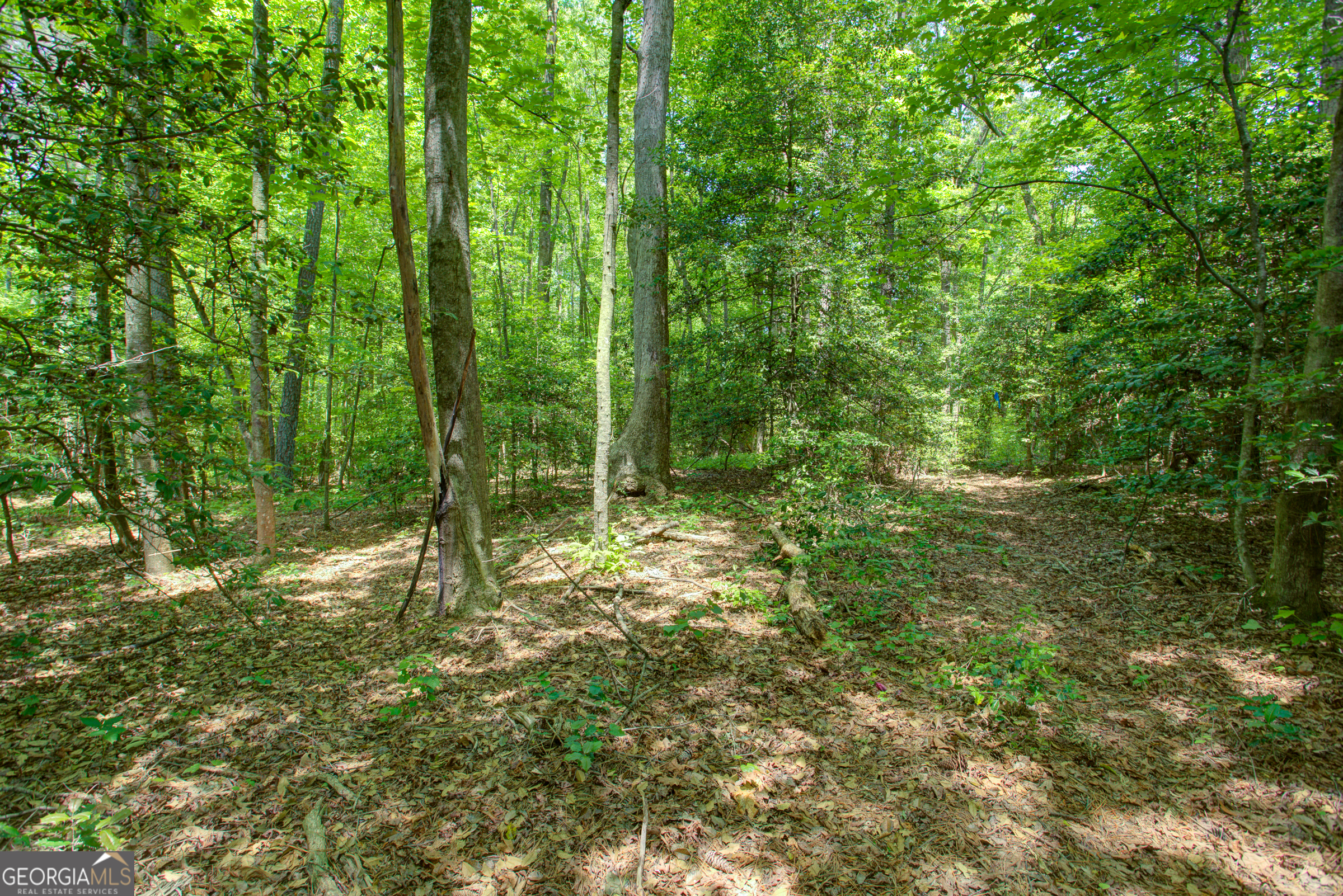 0 Hwy 136 (3.12 Acres)