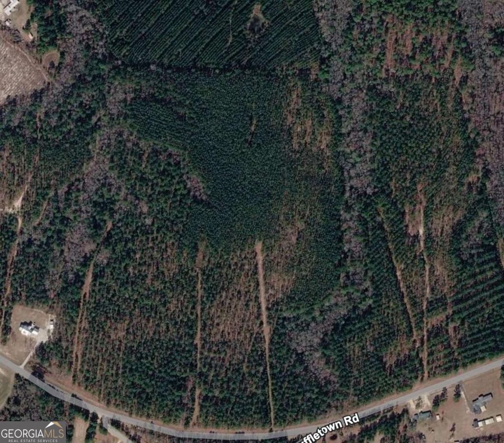 Photo of 0 Scuffletown Road, Garfield, GA 30425 (MLS # 10724621)