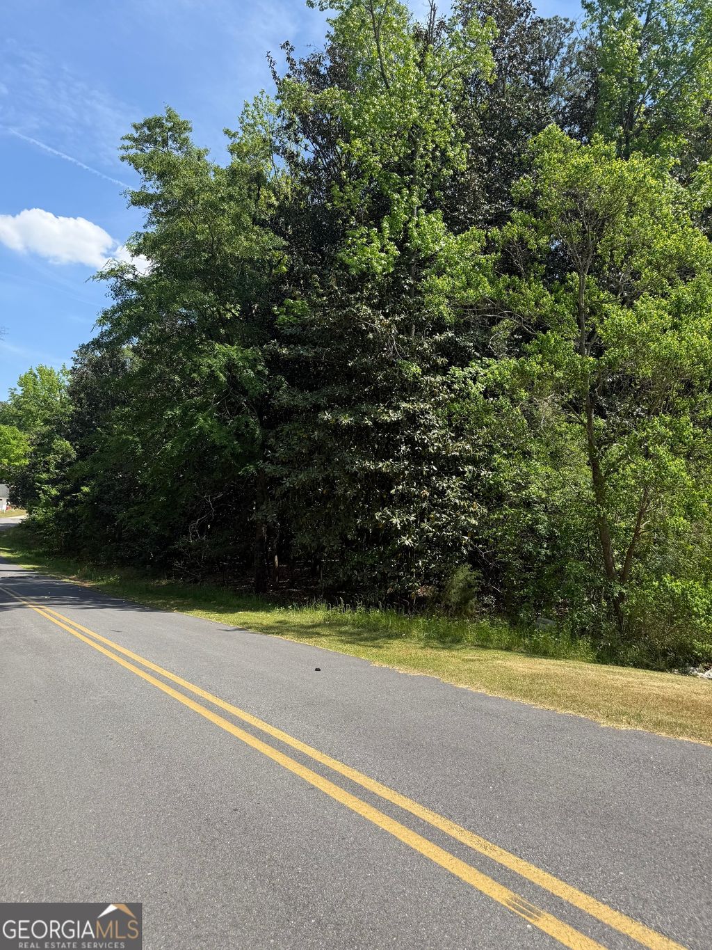 Photo of 1920 Wedgewood Drive, Sandersville, GA 31082 (MLS # 10733335)