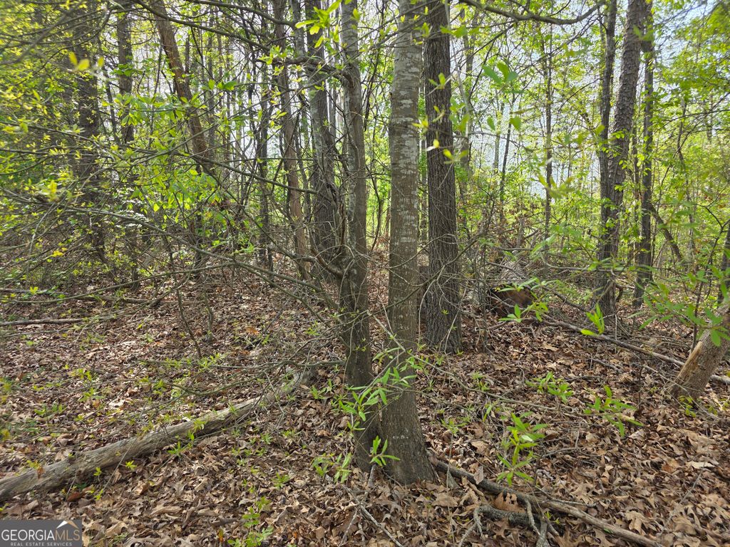 Photo of 77 Lake Club Circle, Lavonia, GA 30553 (MLS # 10725523)