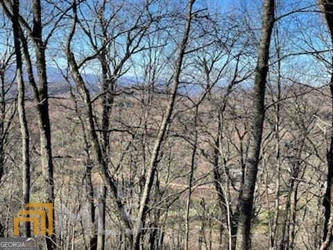 0 LOT 25 Alex Mountain