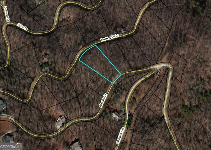 0 LOT 25 Alex Mountain