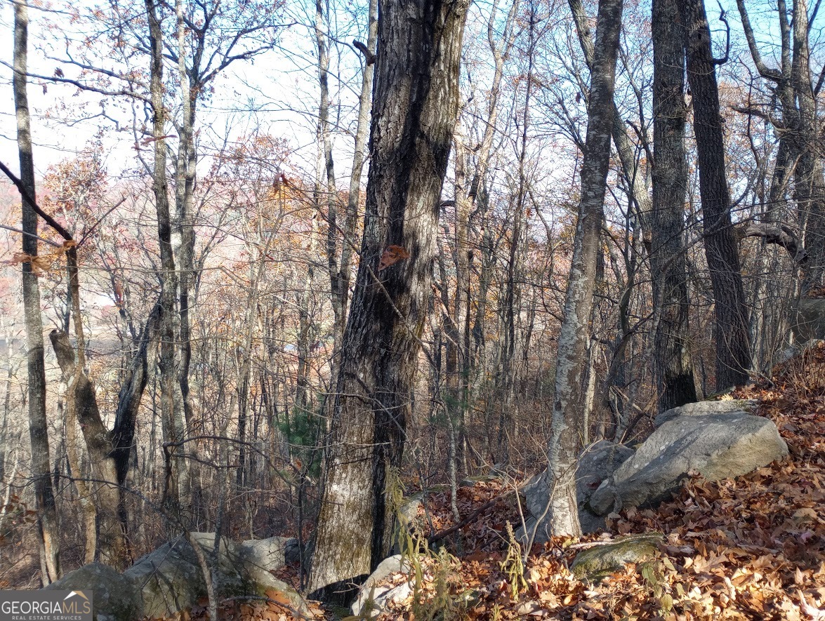 0 LOT 25 Alex Mountain