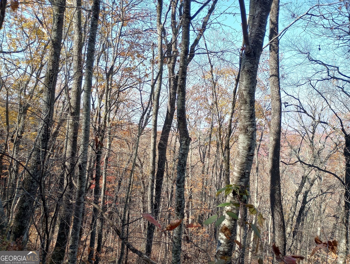 0 LOT 25 Alex Mountain