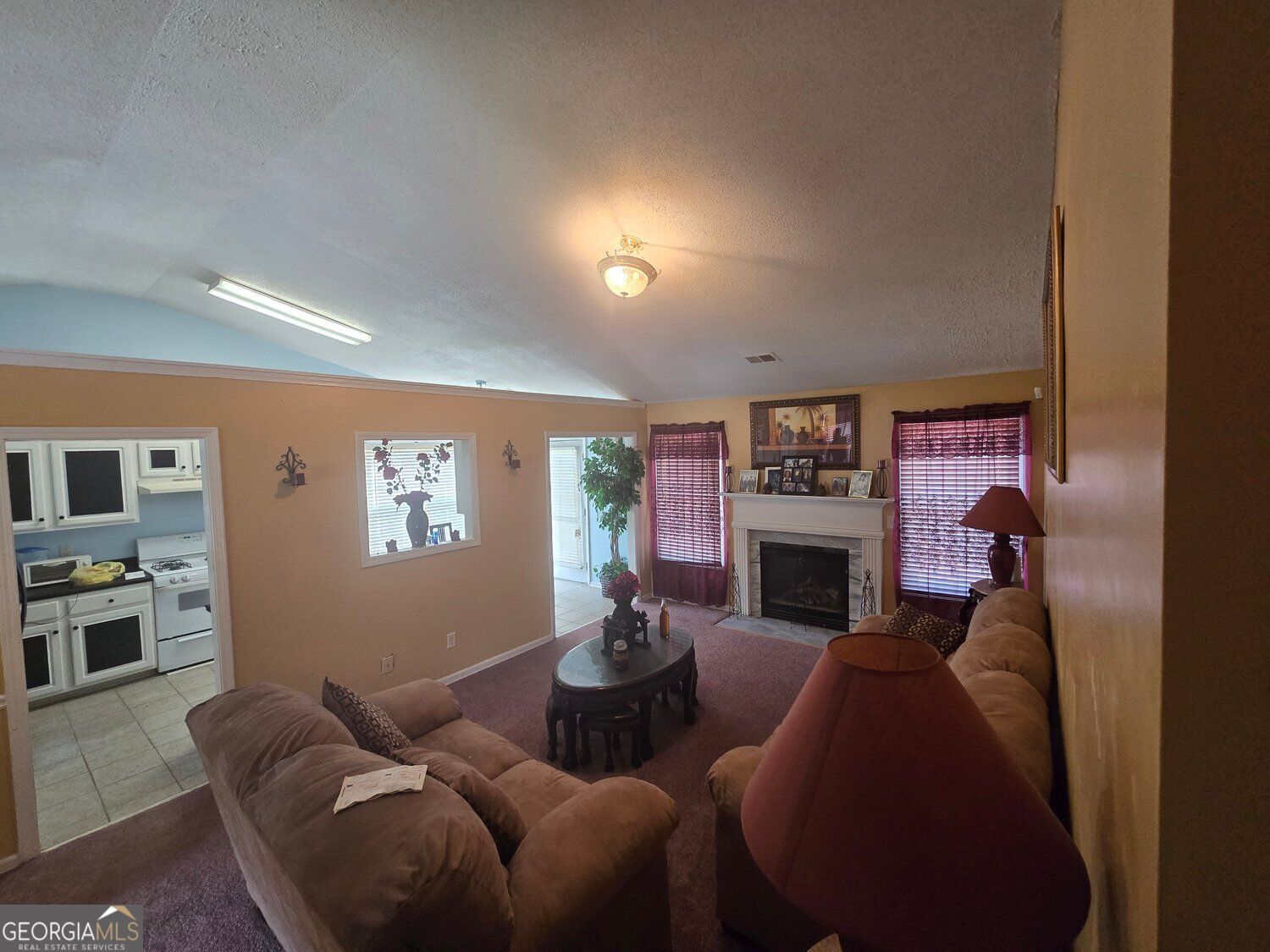 5937 Sugar maple CT