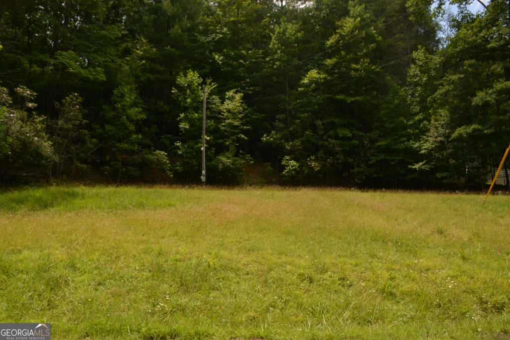 Photo of 1032 Ruby Lake Dr, Hiawassee, GA 30546 (MLS # 10794875)