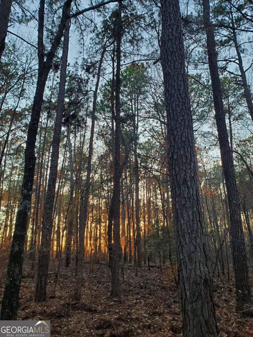 Photo of 0 Mark Wood Road, Dexter, GA 31019 (MLS # 10695810)