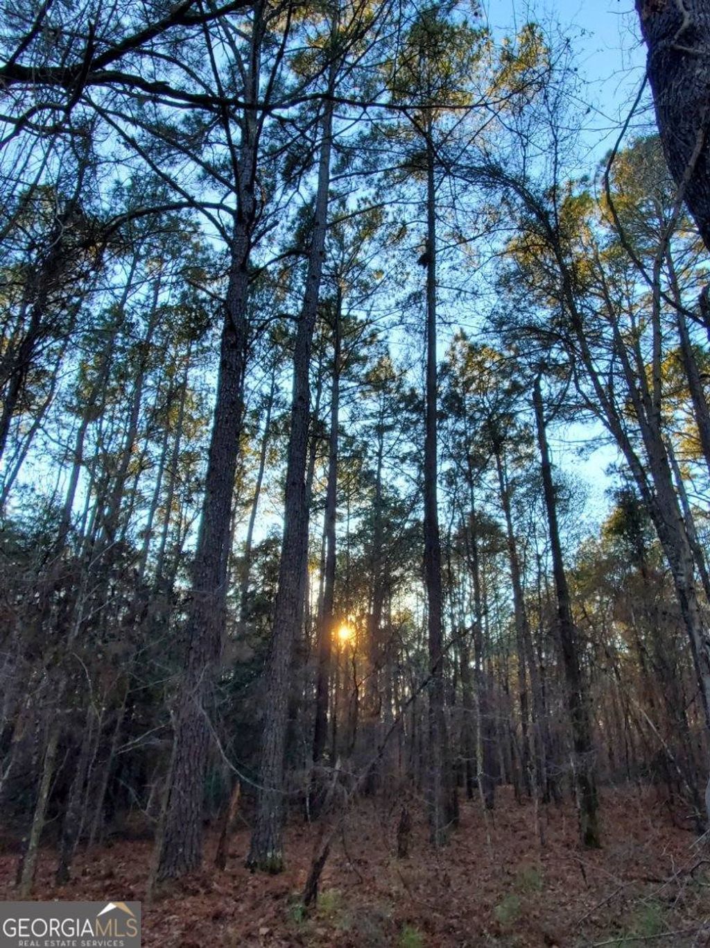 Photo of 0 Mark Wood Road, Dexter, GA 31019 (MLS # 10695810)