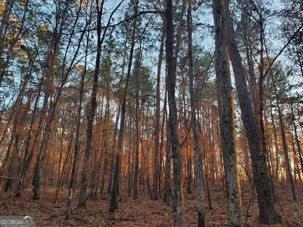 Photo of 0 Mark Wood Road, Dexter, GA 31019 (MLS # 10695810)