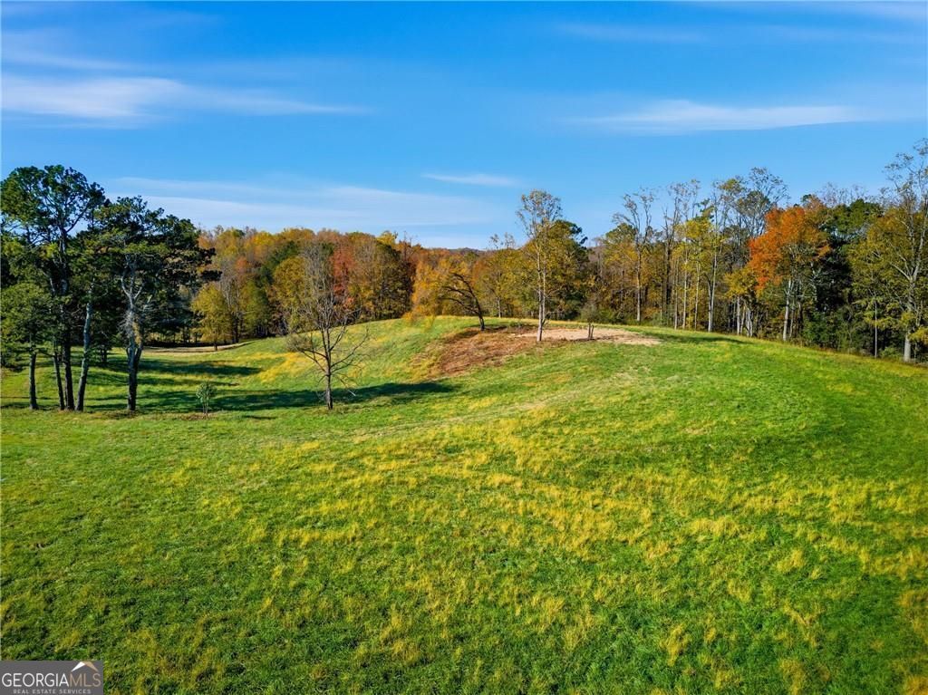 Photo of 17230 Birmingham Highway, Alpharetta, GA 30004 (MLS # 10673596)