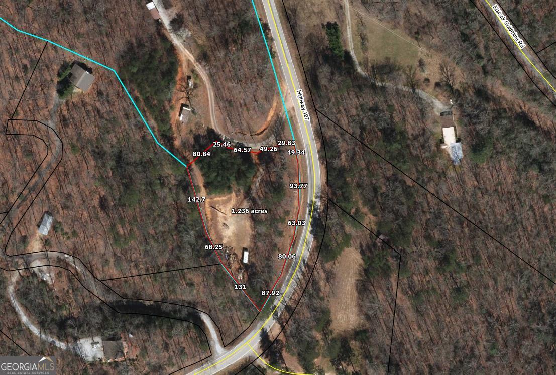 Perfect location for your primary home or a vacation home. Located just off of Hwy 197 and only minutes to Lake Burton! Easy access to Clayton, Helen, and Hiawasee makes this a perfect location for your home. Already graded and road installed, you will have an easy time siting your home. New survey being done by the first week of October.