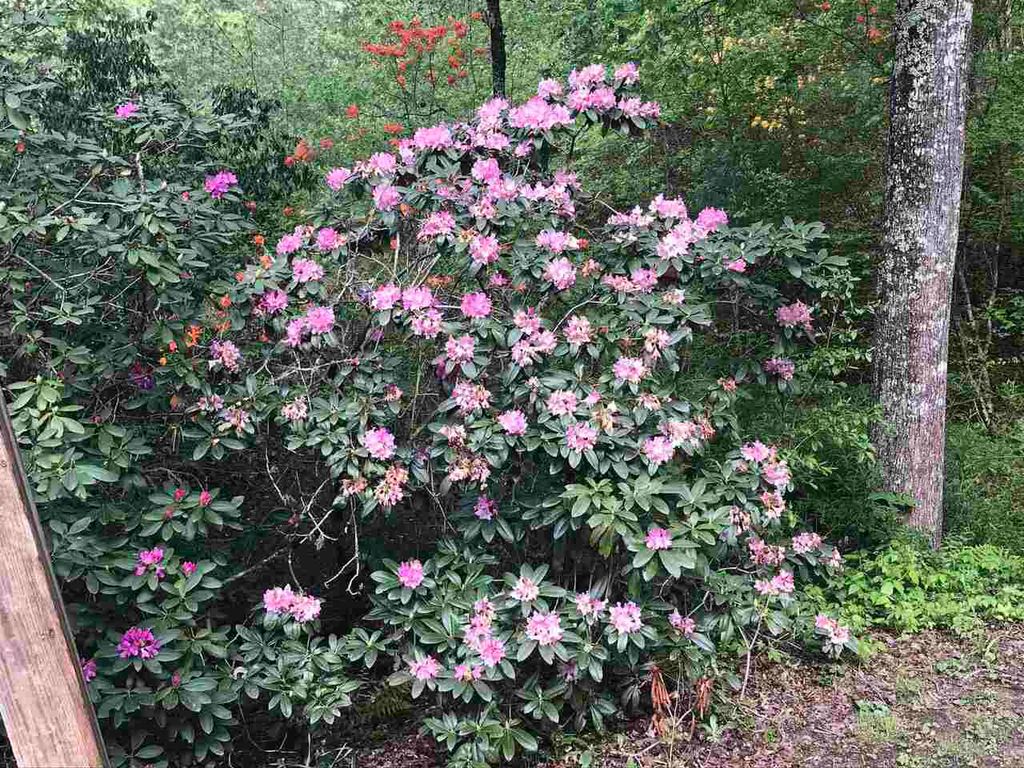listing image 53