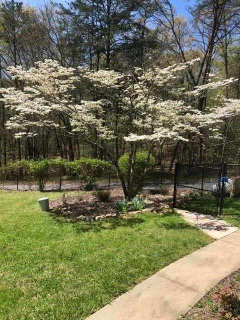 A home in Morganton