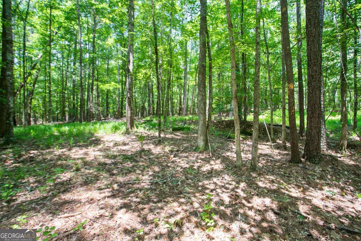 LOT20A Tanglewood RD