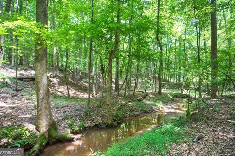 LOT20A Tanglewood RD Newnan GA 30263