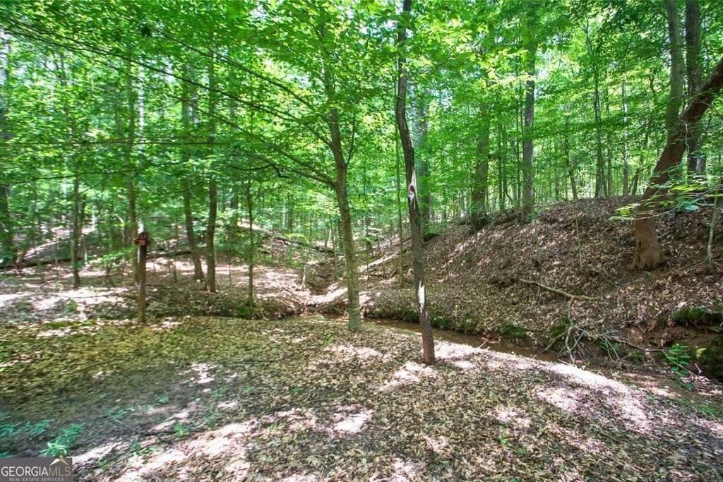 Photo of 20 Tanglewood Road, Newnan, GA 30263 (MLS # 10632080)