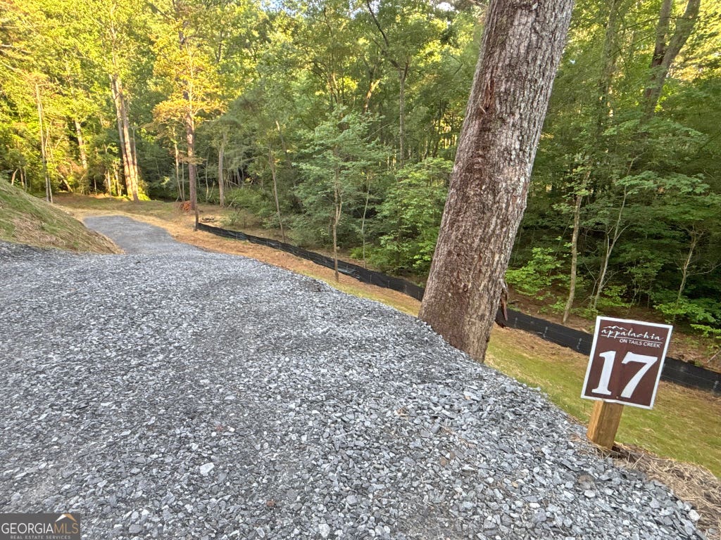Photo of 17 Mt. Springer Road, Ellijay, GA 30540 (MLS # 10806824)