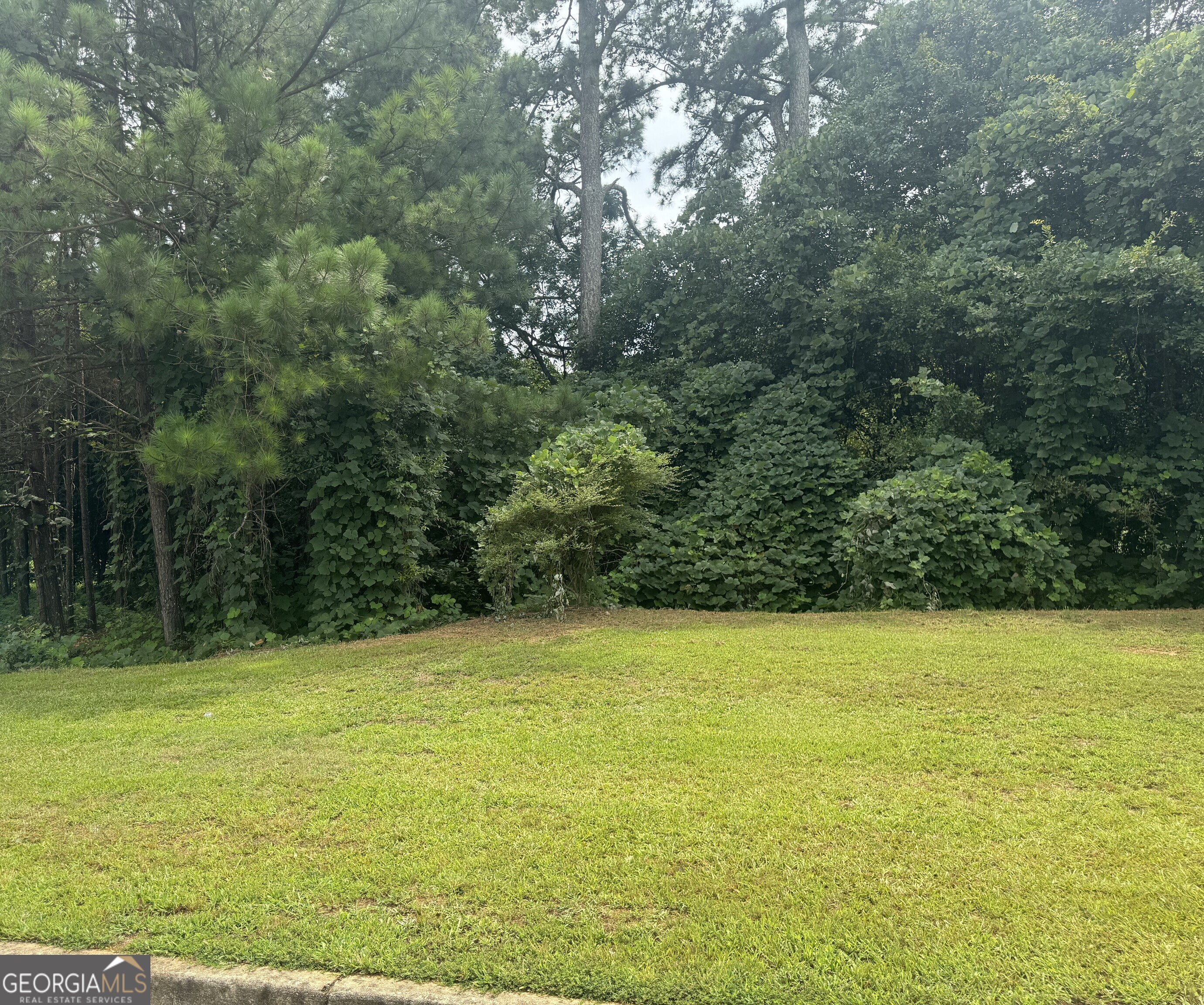 PARTIAL CLEARED LOT TO BUILD YOUR DREAM HOME. COVENIENT LOCATION TO SHOPPING AND PLENTY OF RESTAURANTS. UTILITIES AVAILABLE INCLUDING PUBLIC SEWER, ELECTRIC, & PUBLIC WATER.