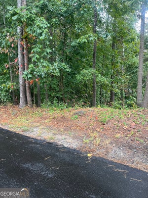 OLD STILL PATH, GAINESVILLE, GA 30506 - Image 81f3fcfd1c1e12fbfb8d7dce8910e58f/2285780956