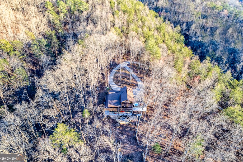 Photo of 395 Packs Valley Vly, Blue Ridge, GA 30513 (MLS # 10766080)